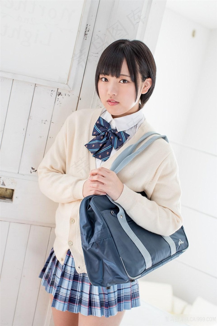 金瓶双梅