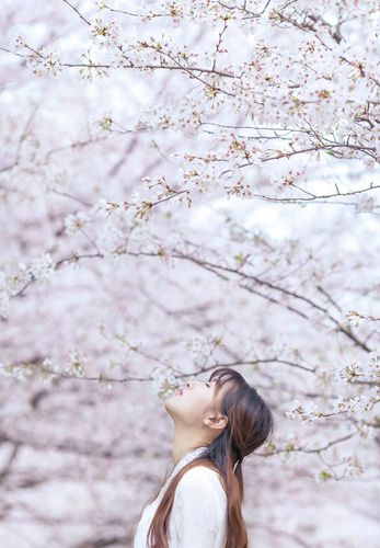 祖雄兵和眼科主任视频