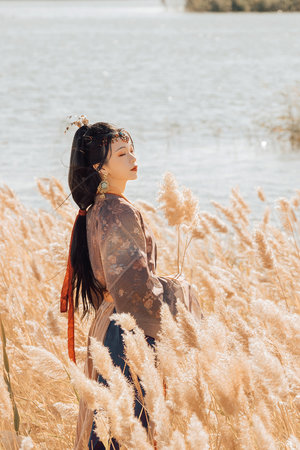 父债女偿还
