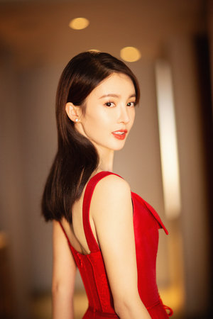 木府风云演员表