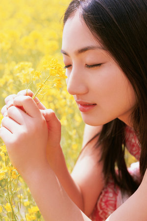 如懿传全集