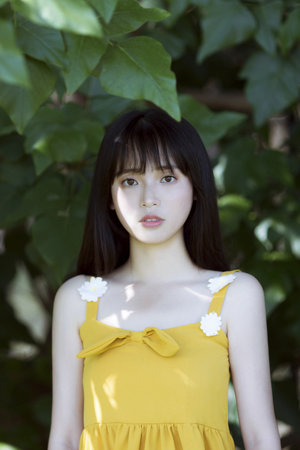 喵请许愿