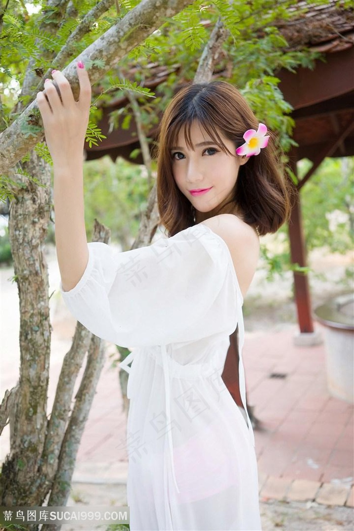 宝拉的诱惑