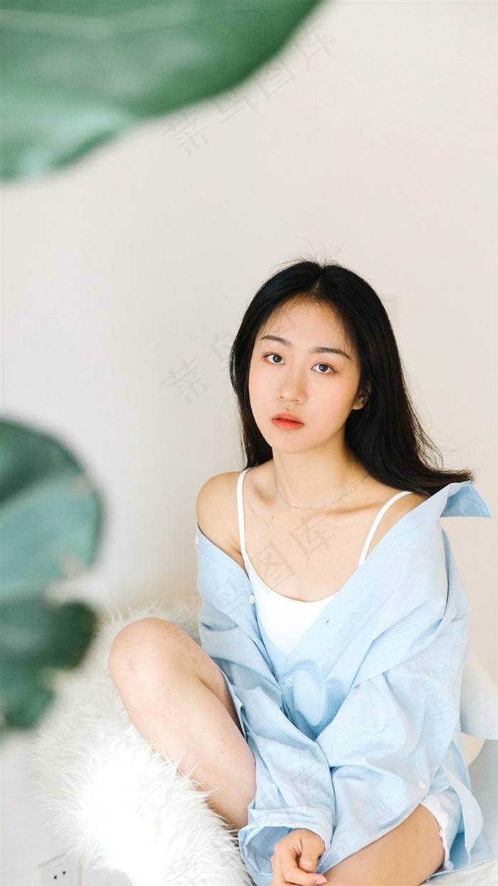 愈合伴侣