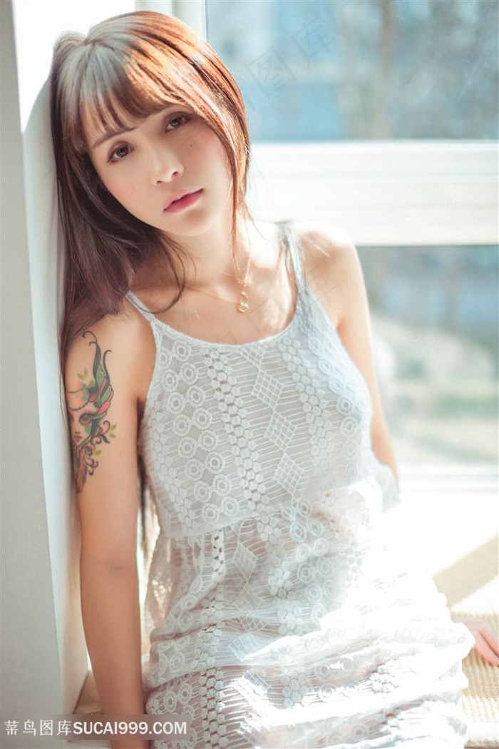 绝望的主妇第五季