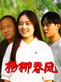 杨柳春风